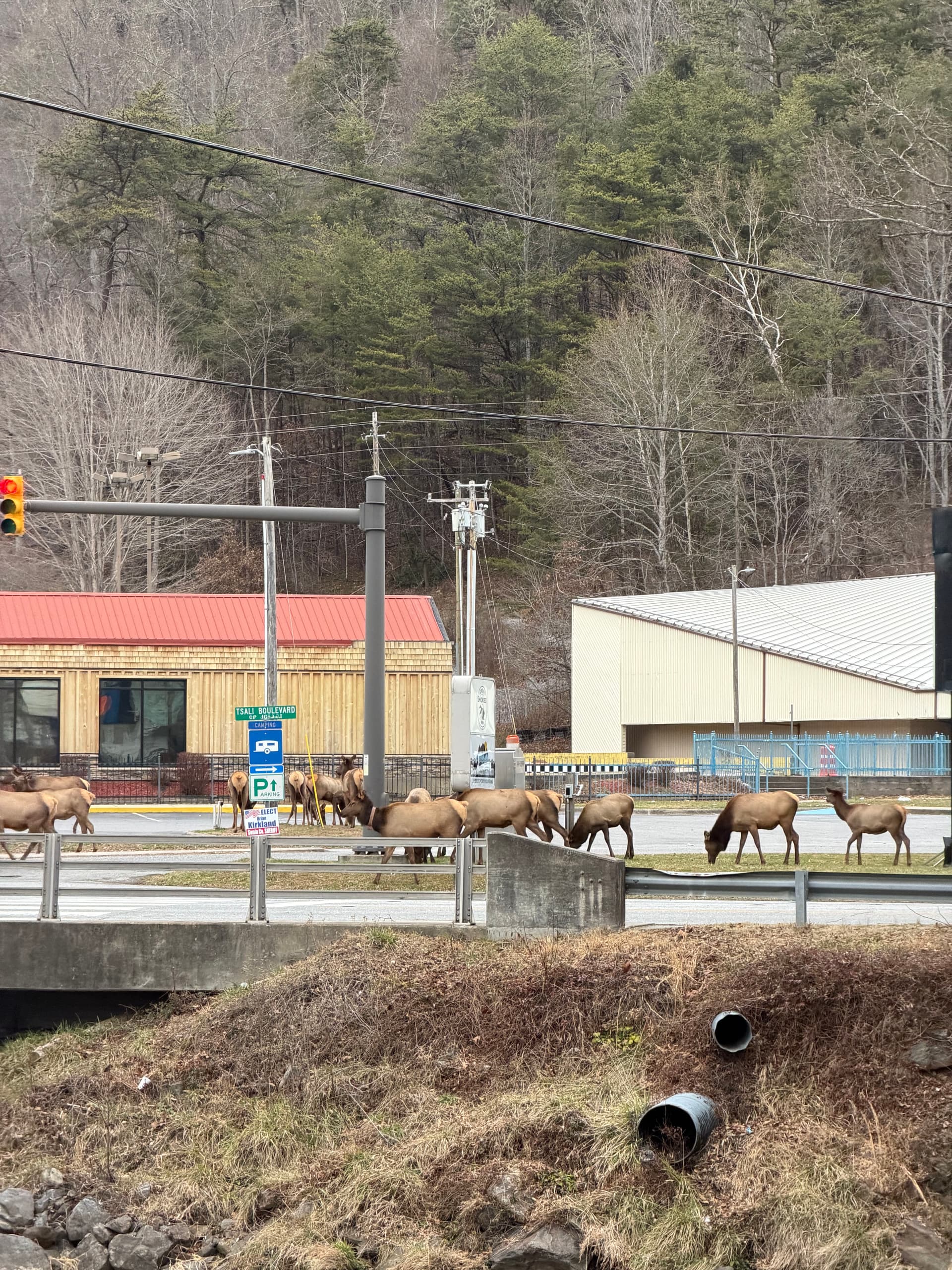 Gallery photos for Enhancing Cherokee NC with Expert Commercial Lighting: Image #3